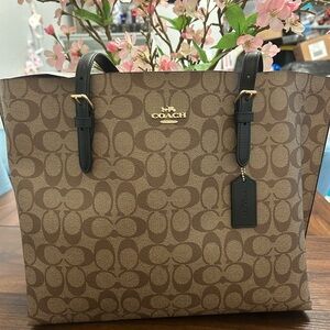 Coach Brown Signature Tote Bag